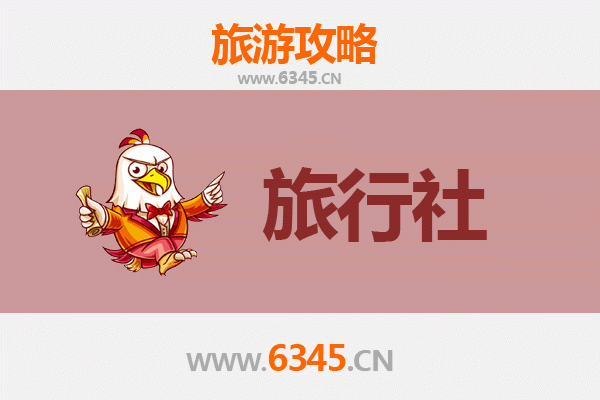 固原彭阳旅行社精选推荐：畅游黄土高原的绿色明珠