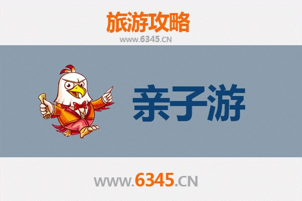 固原彭阳亲子游攻略：梯田花海与乡野童趣的完美邂逅