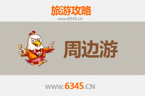 固原彭阳周边2-3天短途旅游攻略：探秘黄土高原的绿色奇迹