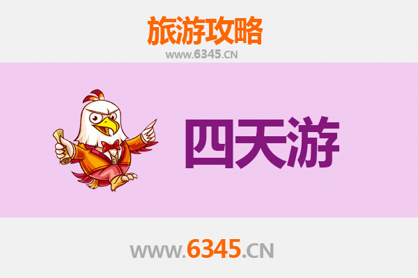 固原彭阳四天三夜深度游攻略：花海梯田与人文探秘