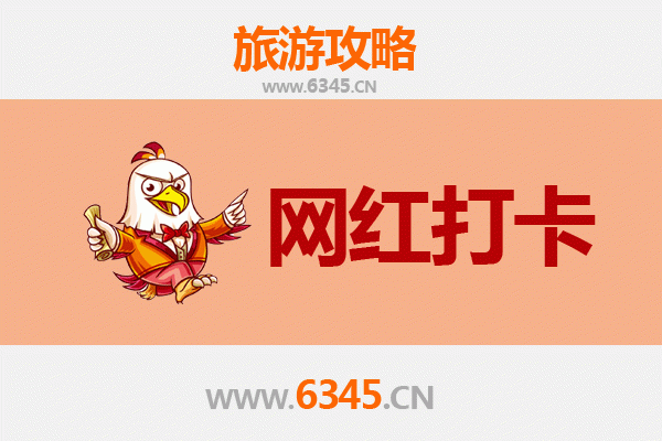 固原彭阳网红打卡地全攻略：花海梯田与历史遗迹的完美邂逅